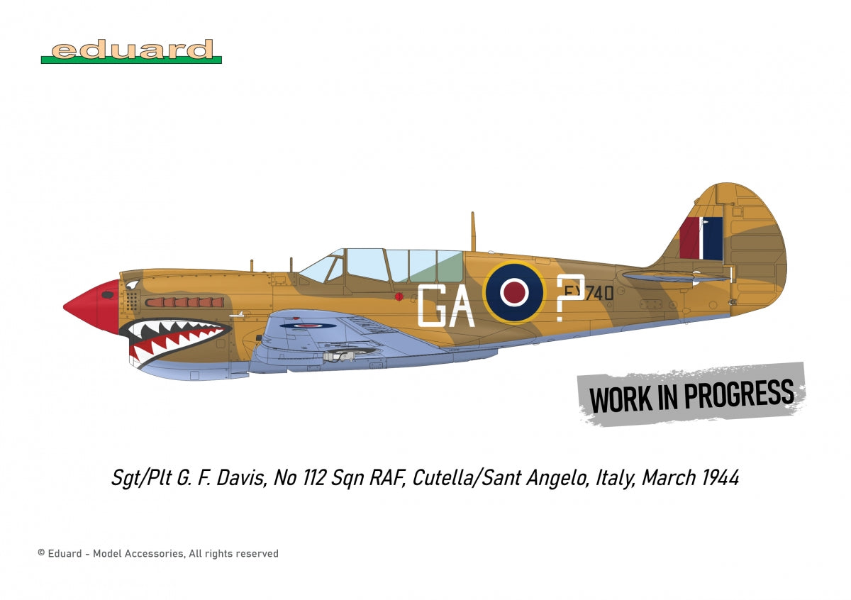 Eduard R0025 P-40N WARHAWK ROYAL CLASS DOUBLE COMBO 1/48 – image 6