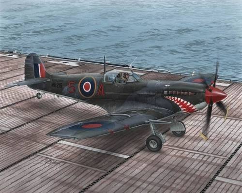 Special Hobby 48102 Supermarine Seafire Mk.II Torch &amp;amp; Avalanche (1/48)