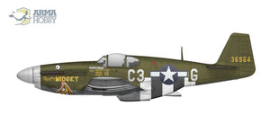 Arma Hobby 70041 P-51B Mustang 1/72 – imagen 8