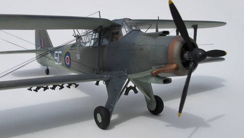 Special Hobby 48045 Fairey Albacore Mk.I 1/48 – immagine 4