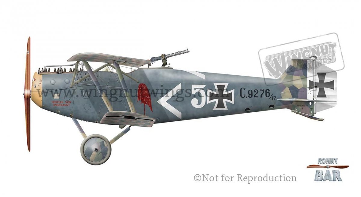 Wingnut Wings 32079 Hannover Cl.II (Early) 1/32 – Bild 5