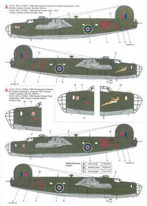 Techmod 72163 B-24 Liberator 1/72 – image 5