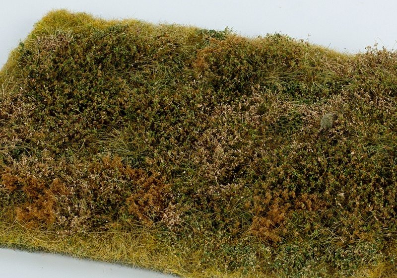 Model scene F573 Wild Area With Bushes - Late Summer – immagine 2