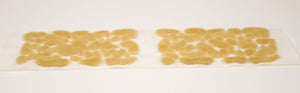 Paint Forge PFTU0271 Micro Juicy Green 2 mm