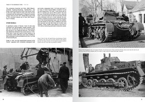 Abteilung 502 ABT760 CHARS DE LA WEHRMACHT WWII · CARLOS DE DIEGO VAQUERIZO – image 6