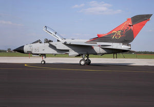 Italeri 1336 Tornado IDS/ECR Special Colors 1/72