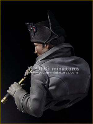 Young Miniatures YH1846 NAPOLEON at Austerliz 1/10 – immagine 5