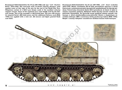 Kagero 15041 Beutepanzer (kalkomania/decals) PL/EN – imagen 5