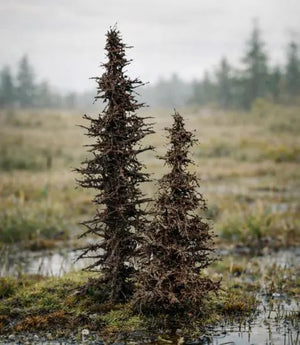 Model Scene SP099 Standing Dead Spruces - 7/10cm – image 2