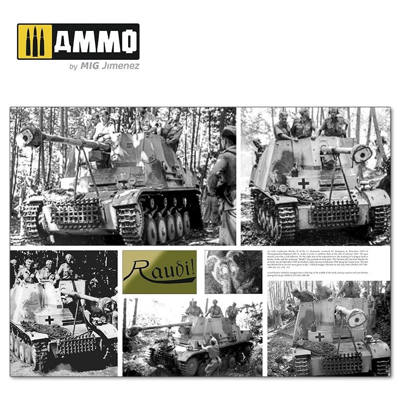 Ammo of Mig 6263 ITALIENFELDZUG. German Tanks and Vehicles 1943-1945 Vol. 2 – imagen 4