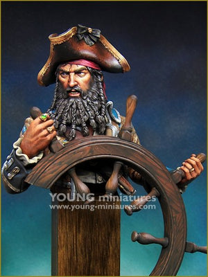 Young Miniatures YH1859 The PIRATE 1/10 – Bild 2