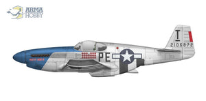 Arma Hobby 70041 P-51B Mustang 1/72 – imagen 10