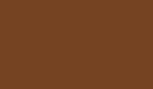 Lifecolor UA477 - Cuir Brun 22ml