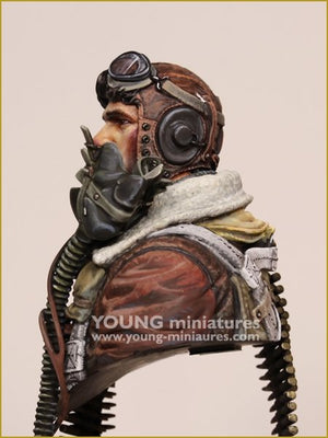 Young Miniatures YM1894 B-24 MUNNER USAAF Seconde Guerre mondiale 1/10 – image 8