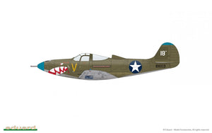 Eduard 8092 P-400 1/48 – immagine 11