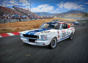 Revell 07716 Shelby GT 350 R &amp;#39;66 1/24 – immagine 3