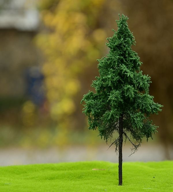 Épicéa de Norvège FREON SWP3 - Épicéa de Norvège, tronc haut (forêt) 8/12 cm