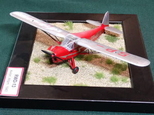 RS Models 94099 RWD-13ST Polish Touring Plane 1/72 – imagen 4
