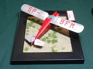 RS Models 94099 RWD-13ST Polish Touring Plane 1/72 – imagen 7