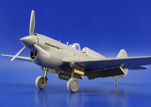 Eduard 49314 P-40E 1/48 Hasegawa – imagen 11
