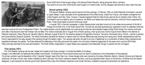 ToRo Model 35F124 Powstanie Śląskie - Por.Mar. Robert Oszek - Dowódca Oddziału / Silesian Uprising 1921 Lt Robert Oszek Special Assault Squad Commander 1/35 – Bild 3