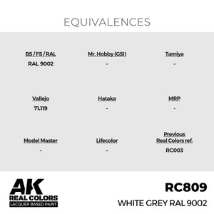 AK Interactive RC809 White Grey RAL 9002 17 ml – immagine 3