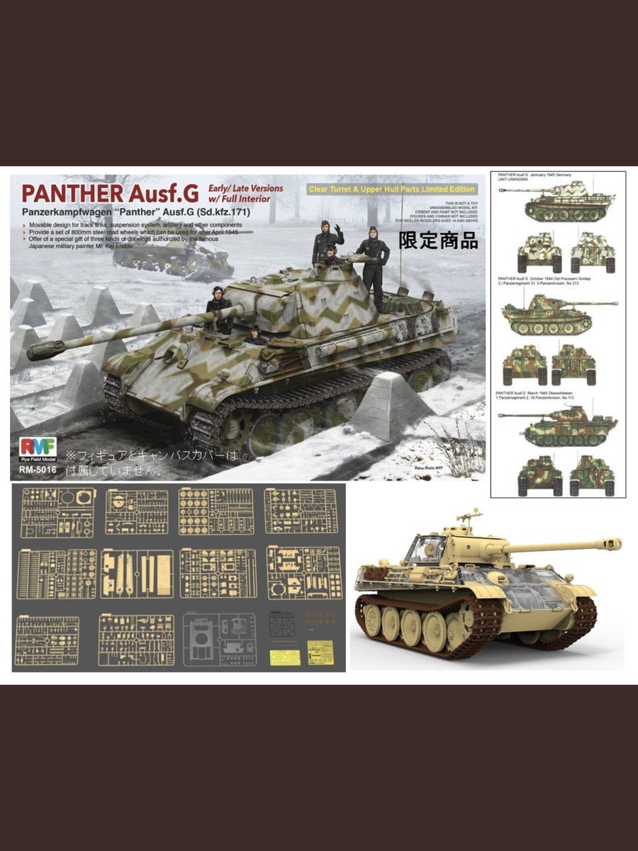 Rye Field Model 5016 Panther Ausf.G Early/Late w/full interior 1/35 – imagen 2