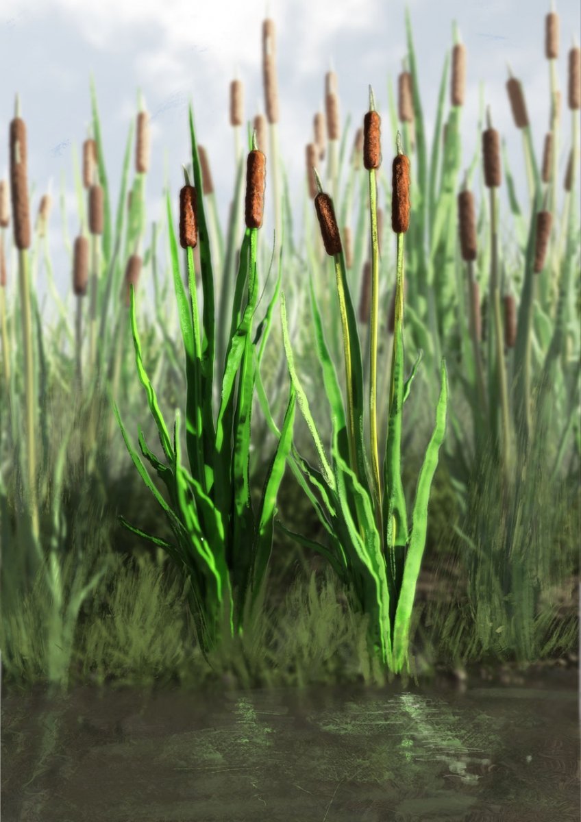 RT-Diorama 35400 Cattail Grass 1/35 – immagine 2