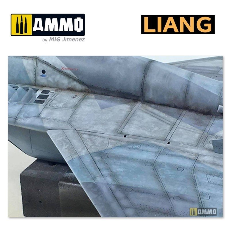 Liang 0006 Salt Weathering Effects Airbrush Stencils (Sparse) – immagine 9