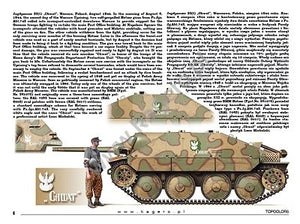 Kagero 15039 Captured Panzers German Vehicles in Allied Service (kalkomania) PL/EN – immagine 2