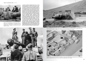 Abteilung 502 ABT760 CHARS DE LA WEHRMACHT WWII · CARLOS DE DIEGO VAQUERIZO – image 3