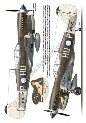 Kagero 7037 Curtiss P-40 F,K,L,M,N models EN/PL – imagen 5