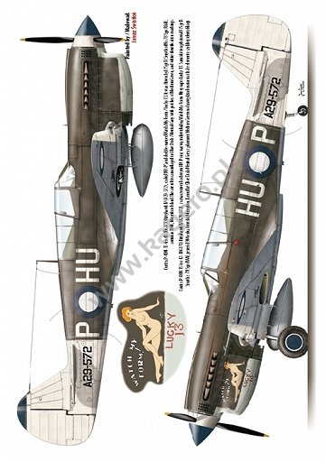 Kagero 7037 Curtiss P-40 F,K,L,M,N models EN/PL – imagen 5