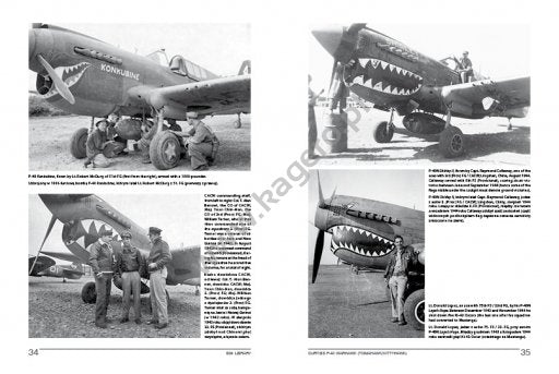 Kagero 19010 Curtiss P-40 Warhawk (Tomahawk/Kittyhawk) EN/PL – imagen 3