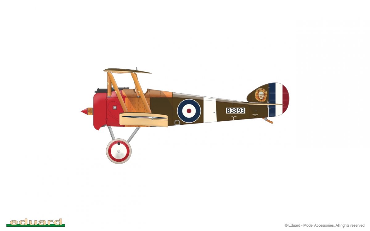 Eduard 11151 Camel &amp;amp; Co. 1/48 – zdjęcie 22