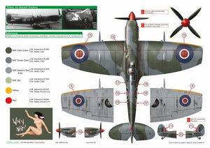 Exito ED72003 DECALS Sexy Spitfires - Supermarine Spitfire LF Mk Vb - VIII - IXe 1/72 – zdjęcie 6