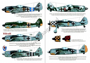 Kagero 3004 Focke Wulf Fw 190 vol. II (bez kalkomanii) EN/PL – immagine 4