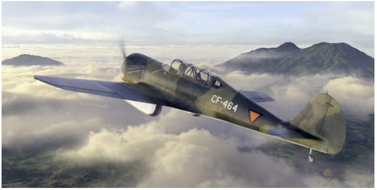 Dora Wings 48036 Curtiss-Wright CW-22B 1/48 – Bild 2