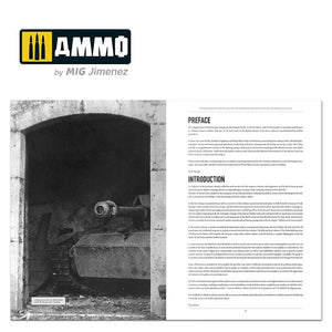 Ammo of Mig 6267 ITALIENFELDZUG – German Tanks and Vehicles 1943-1945 Vol. 4 – immagine 7