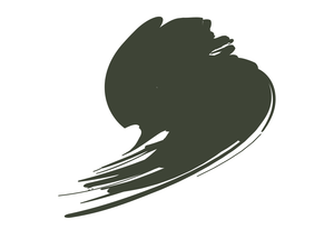 Hataka HTK-C016 Dark Green (FS34079, ANA 631) 17ml