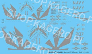 Kagero 41001 Grumman F-14 TOMCAT EN/PL – immagine 2