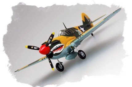 Hobby Boss 80250 P-40E « Kitty Hawk » (1/72) – image 6