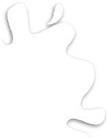 Gunze Sangyo C189 Flat Base Smooth