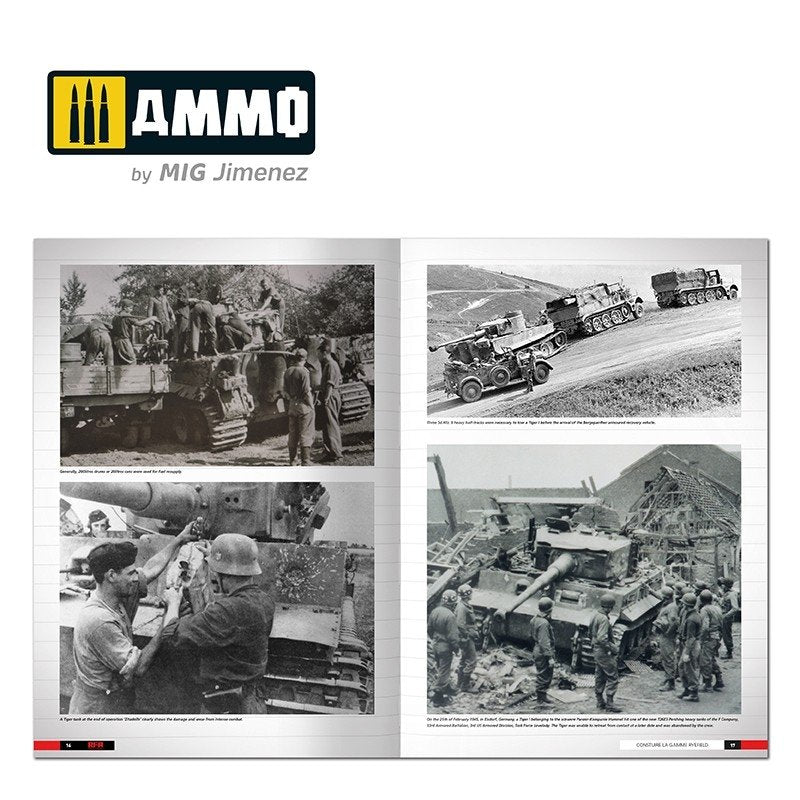 Munitions des Mig 6273 Tigers – Modélisation de la famille Ryefield (anglais) – image 3