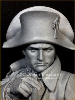 Young Miniatures YH1846 NAPOLEON at Austerliz 1/10 – immagine 8