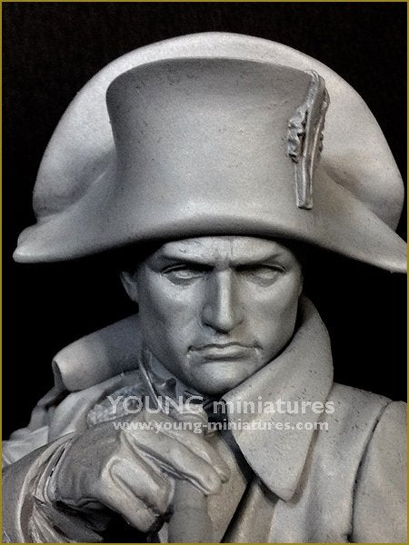Young Miniatures YH1846 NAPOLEON at Austerliz 1/10 – immagine 8