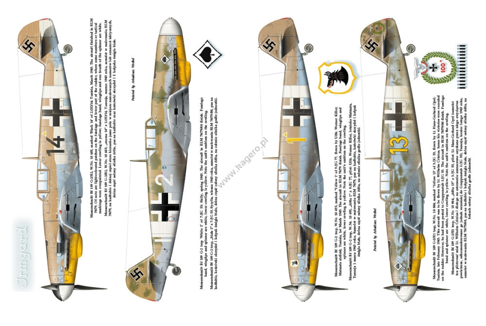 Kagero 12010 Luftwaffe over Tunisia vol. II February – May 1943 EN – zdjęcie 4