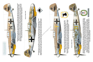 Kagero 12010 Luftwaffe over Tunisia vol. II February – May 1943 EN – zdjęcie 4