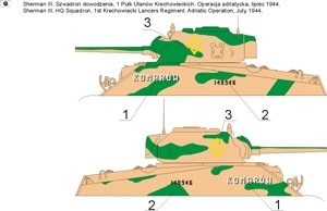 ToRo Model 35D30 - Polish Shermans in Italy, 2nd Polish Corps 1945 vol.2 1/35 – immagine 3