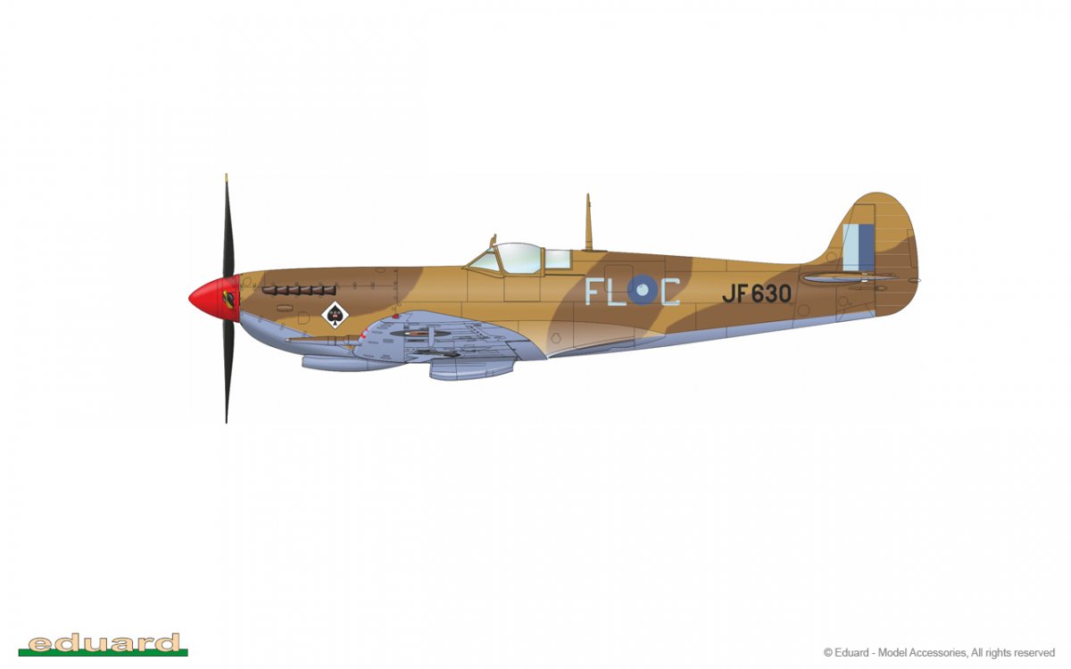 Eduard 8287 Spitfire HF Mk.VIII 1/48 – imagen 4